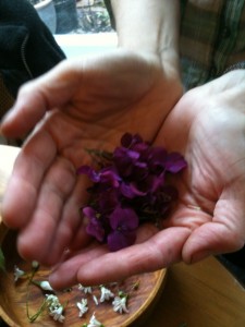 Honesty flowers (photo: Sarah Lockett)