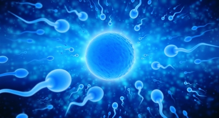 Make money sperm How can you die form orgasm