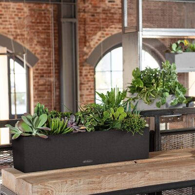 WIN! A Pair Of Self &#8211; Watering Planters