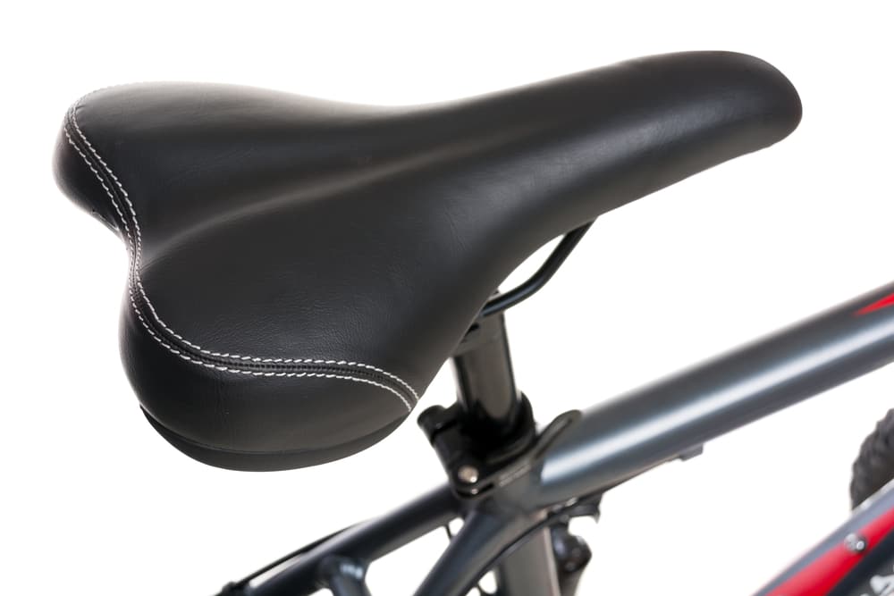 Bicycle saddle
