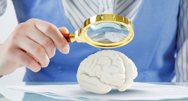 Woman holding magnifying glass over a brain