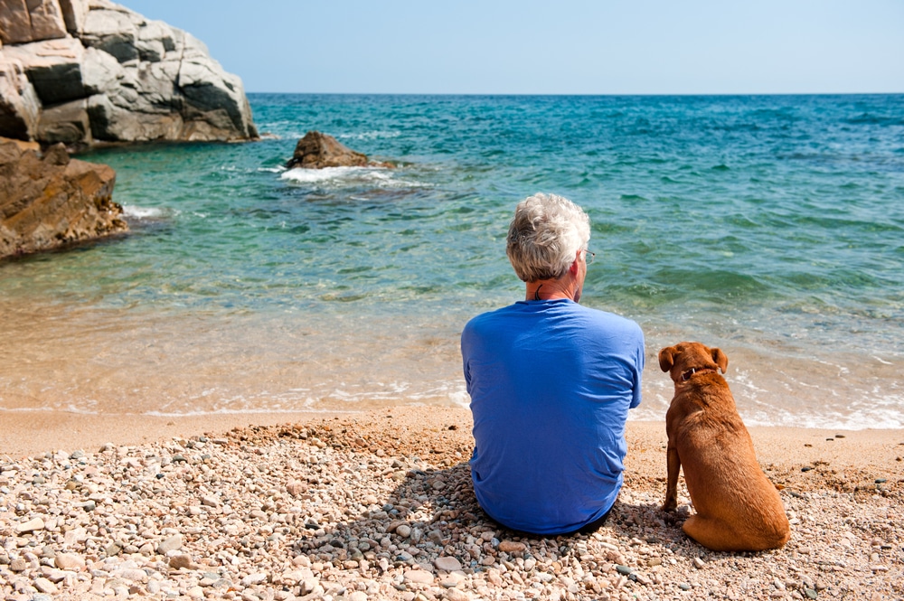 British expat on beach with dog