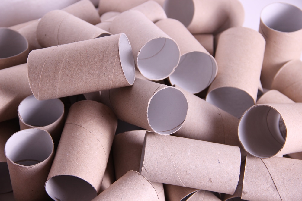 Pile of toilet roll tubes
