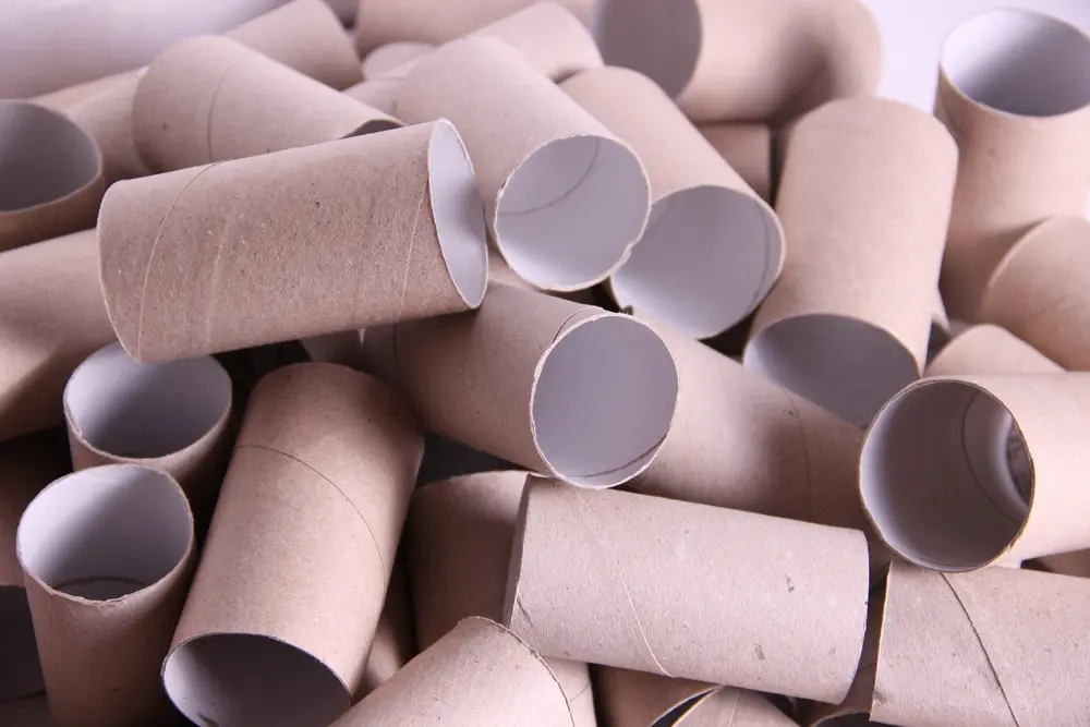 Make money selling your old toilet rolls - MoneyMagpie