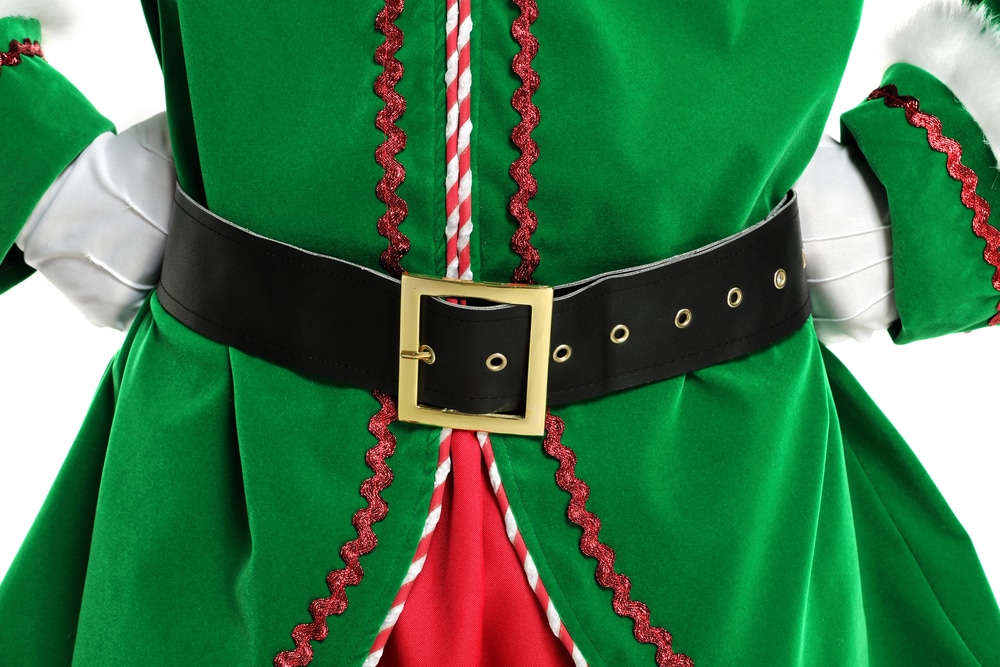 Closeup Elf Costume