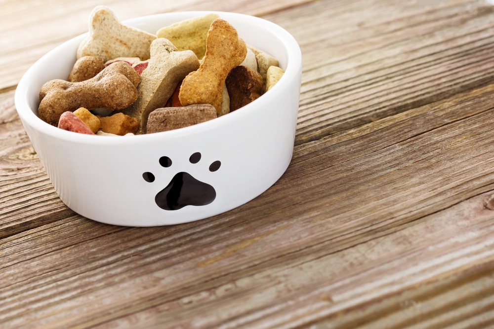 earn extra cash as a dog food tester