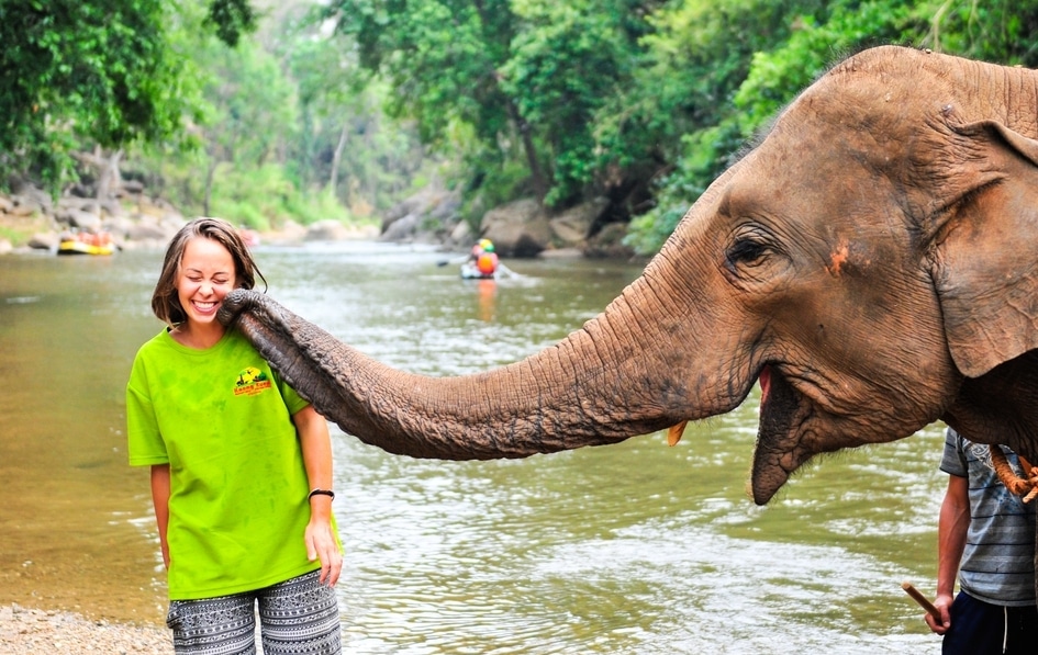Elephant touching volunteers face with trunk