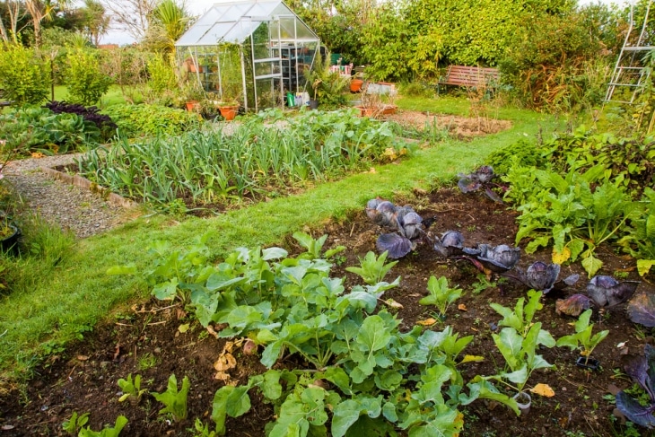 Rent your garden as an allotment