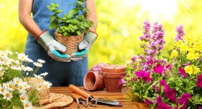 13 ways to make and save money from your garden