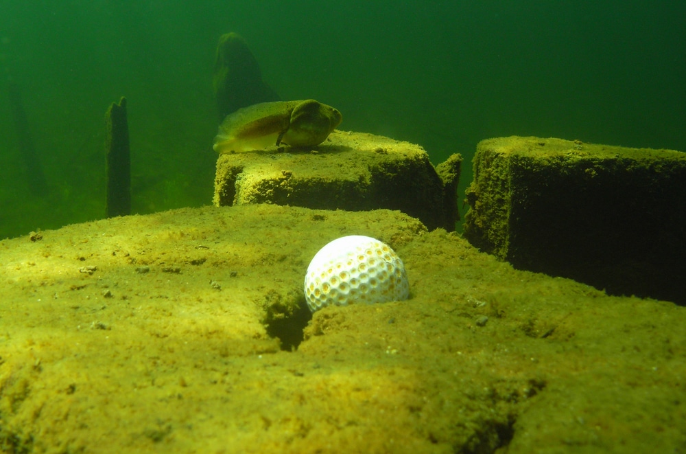 Golf ball at bottom of lake