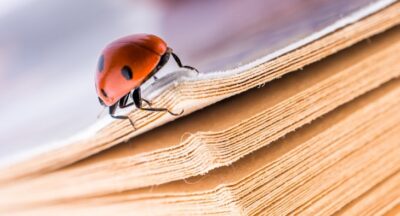 Make money selling vintage Ladybird books