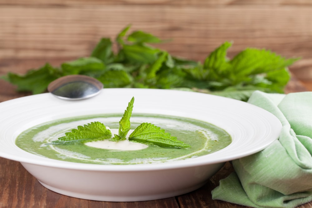 Bowl of nettle soup with yoghurt