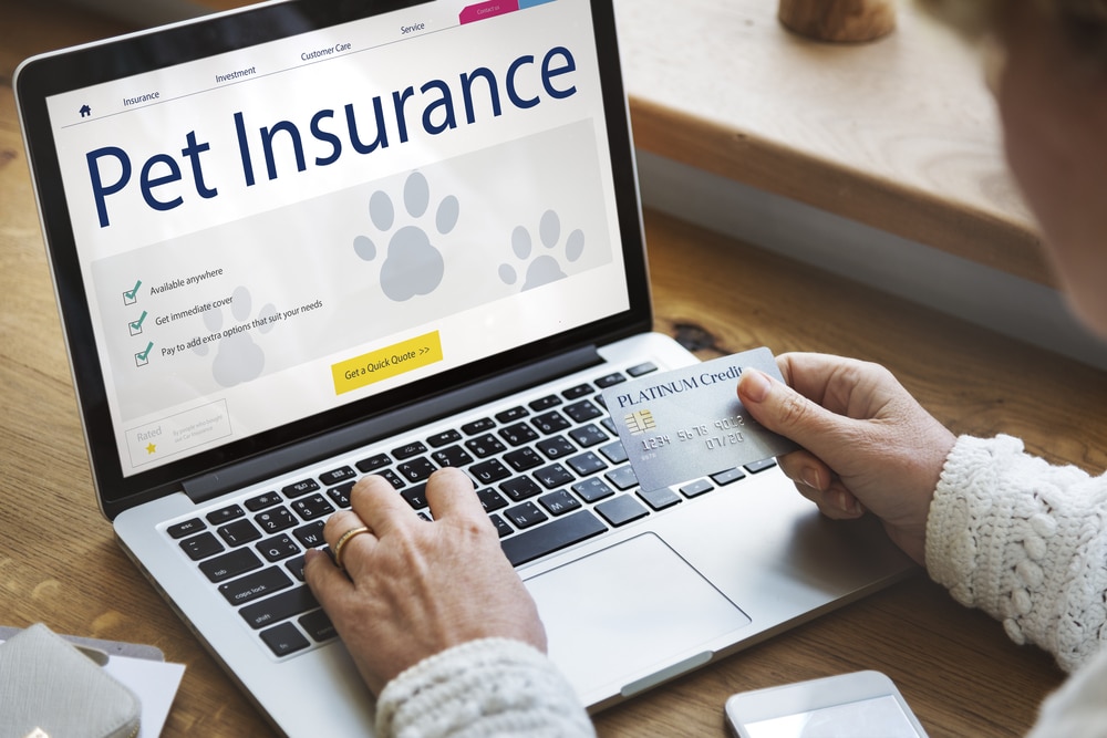 Buying pet insurance online