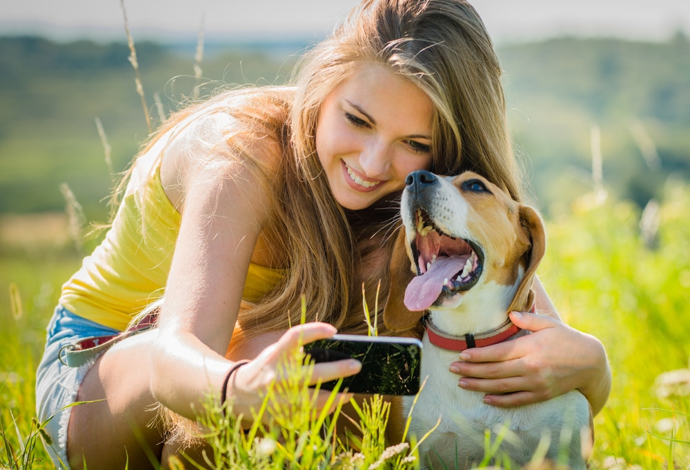 Use social media to make money from your pet