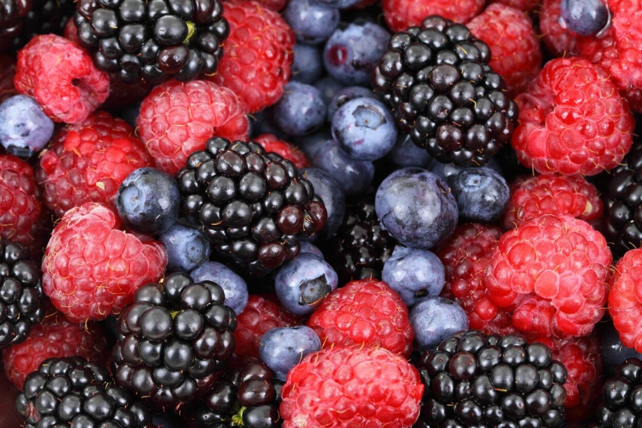 how to grow berries