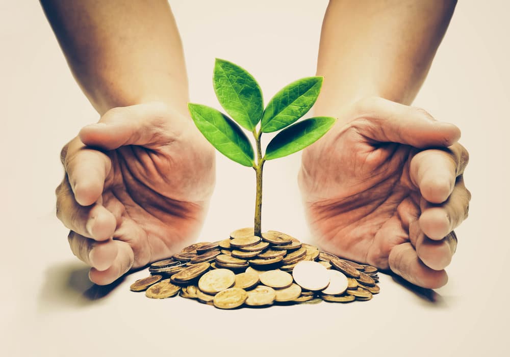 Green investments help your portfolio, conscience, and the planet
