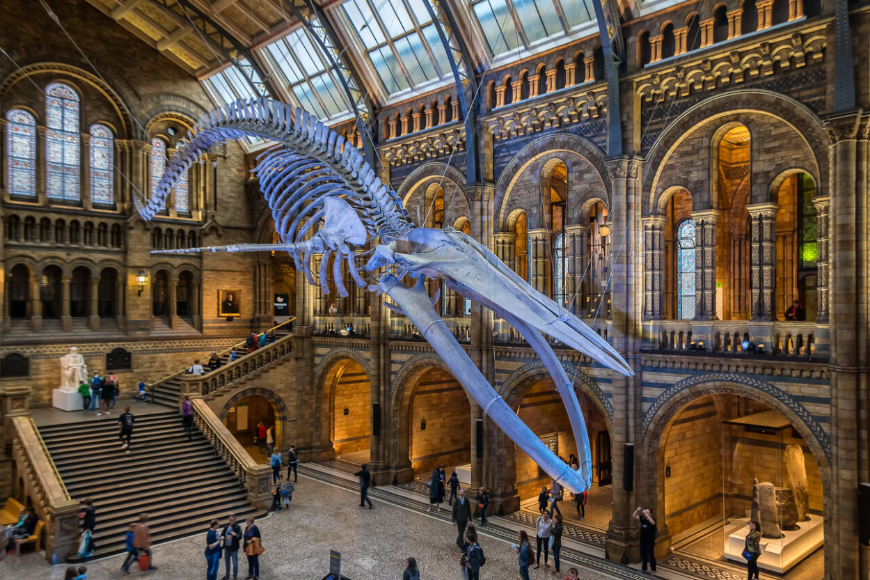 The Natural History museum is free