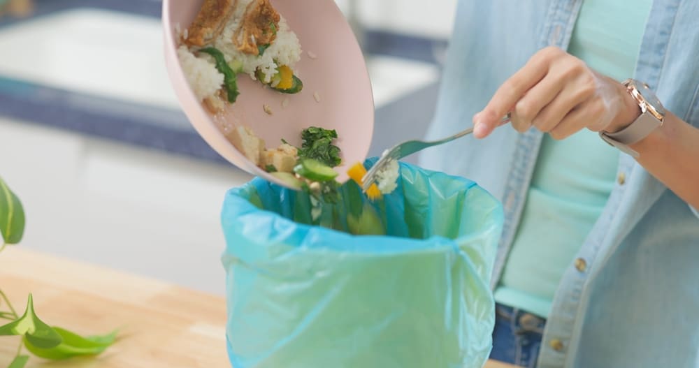 prevent food waste