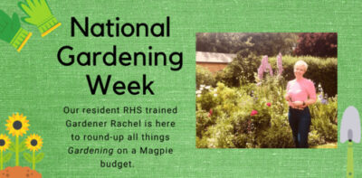 National Gardening Week 2023: All the Best Budget Tips
