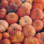 Where to Get the Cheapest Pumpkin