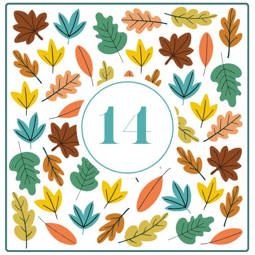 door-Day 14