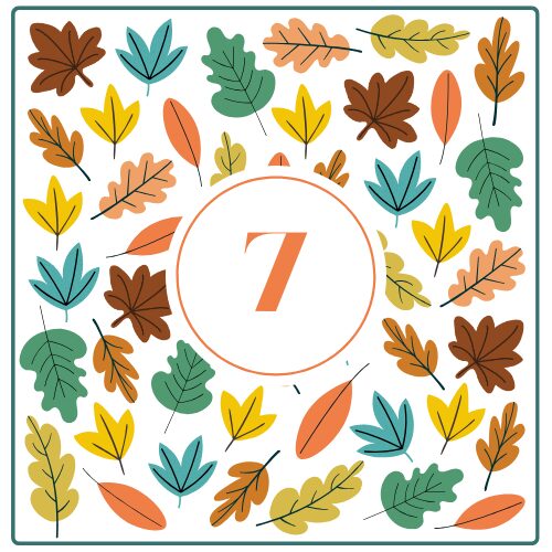 door-Day 7