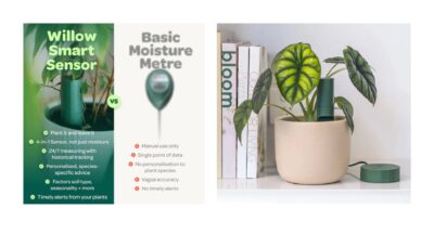 WIN! 1 of 2 Plant with Willow Starter Packs