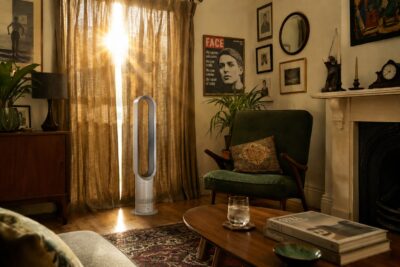 Is the Dyson Fan with the money