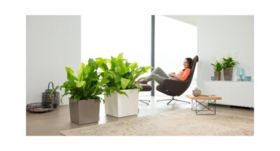 WIN! Self-watering planter from Lechuza